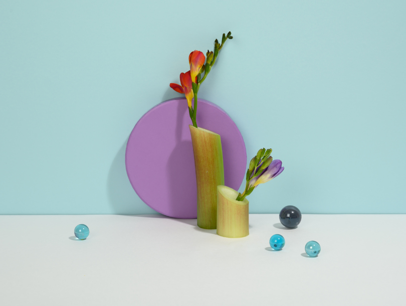 Vase aus Rhabarber mit Blumen und murmeln. Verschiedene senses